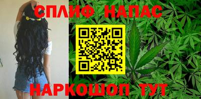 ГАЛЛЮЦИНОГЕННЫЕ ГРИБЫ Кандалакша