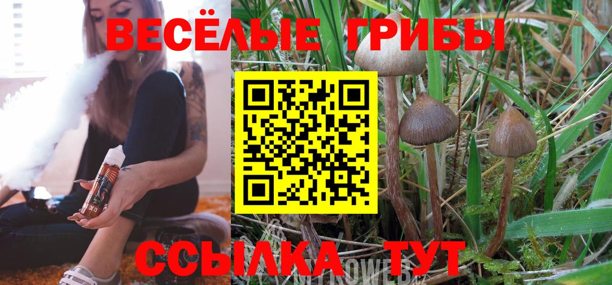 Галлюциногенные грибы MAGIC MUSHROOMS  Вход с VPN  Донской 
