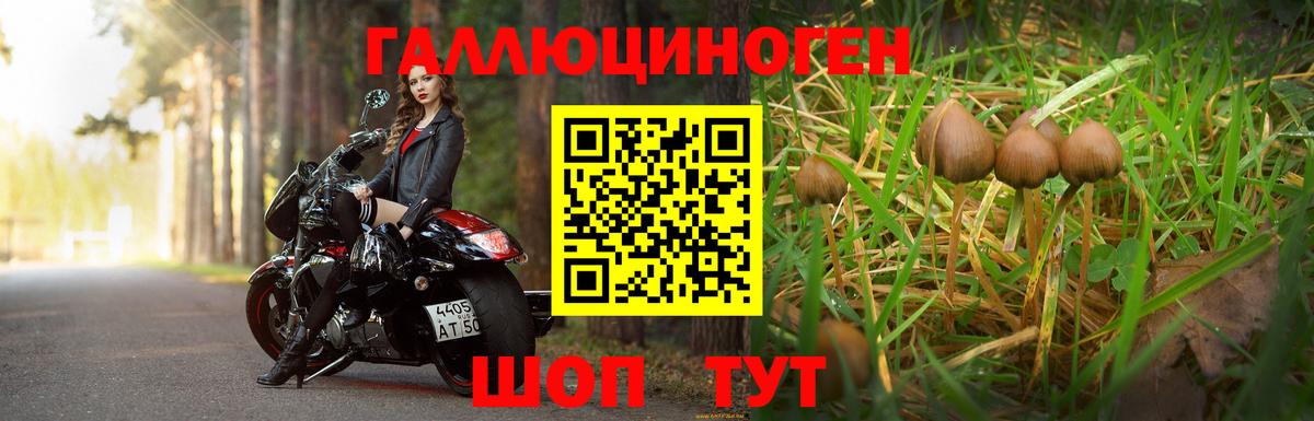 Псилоцибиновые грибы MAGIC MUSHROOMS Донской